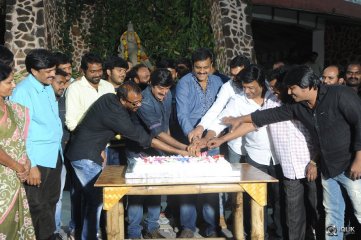 Dictator Movie Gummadikaya Function